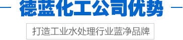德藍化工公司優勢